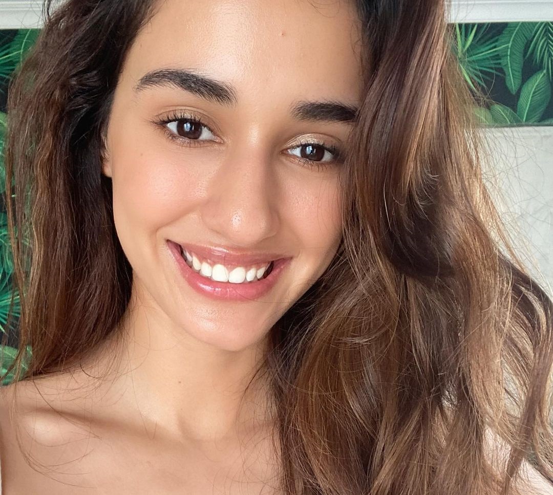 Disha patani 25 фигура, волосы, тело, грудь, ноги, руки